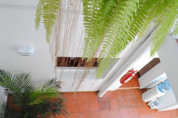 Hotel Romi (Colonia del Sacramento)